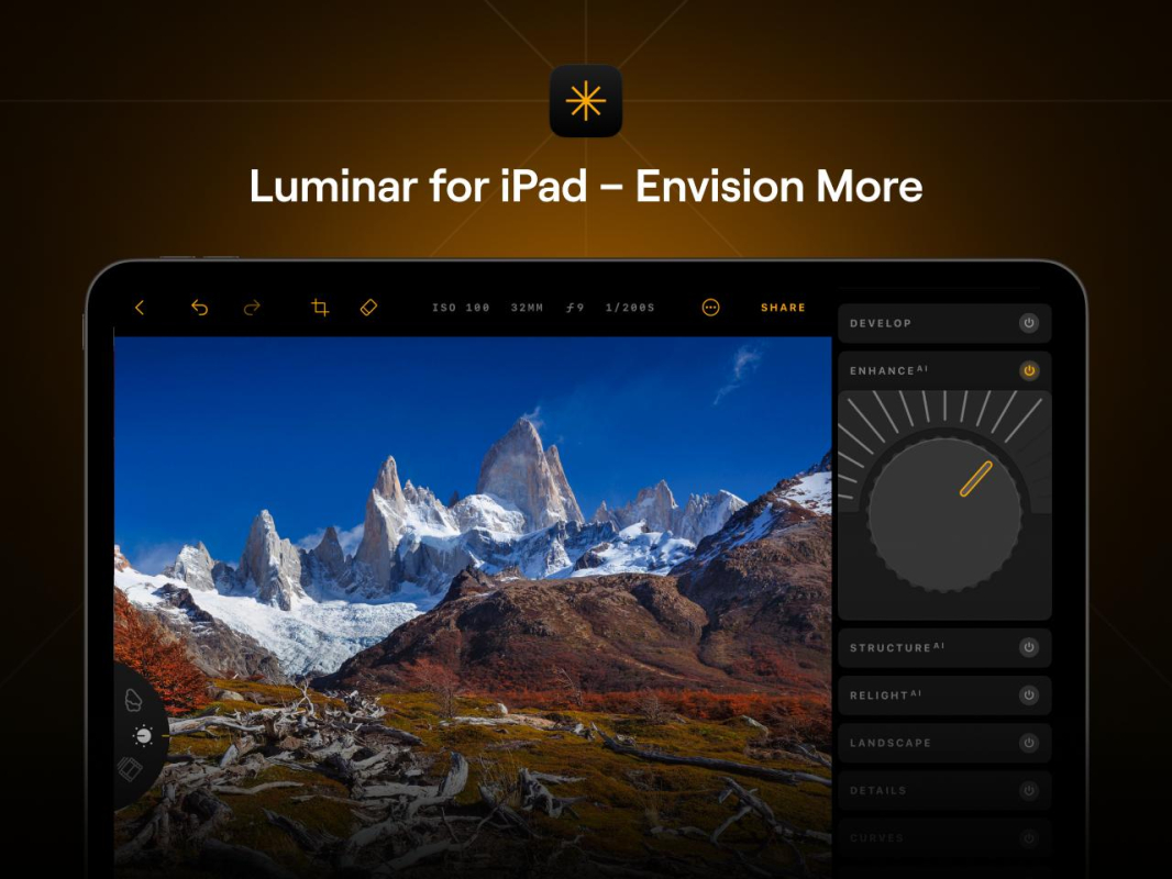 Skylum Luminar für iPad 