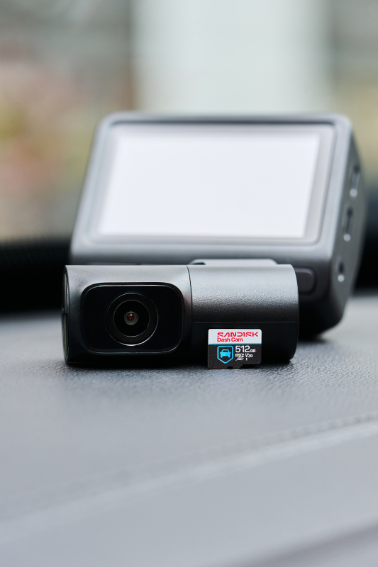 SanDisk Guardian Series